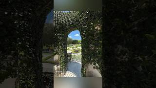 Vizcaya Museum Miami tours travel usa relaxing youtubeshorts shortvideo shorts nature live [upl. by Kerr701]