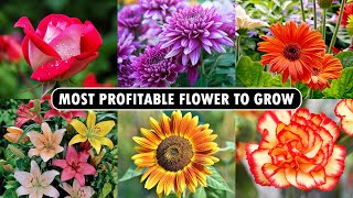 Most profitable Flower to Grow  Flower Farming Business [upl. by Bussy]