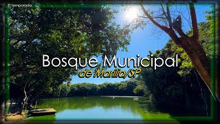 4K  Bosque de MaríliaSP quati tucano pavão jabuti arara azul e mais  3ªtemp ep07  OODL [upl. by Kipp]