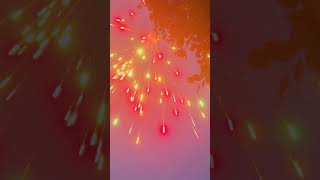 “Dat wuz pretttyy” 4thofjuly2024 fireworks [upl. by Camella]