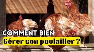 Comment Gérer votre Poulailler pour mieux Réussir lélevage de Poulets [upl. by Arahas]