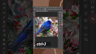 Easy way to Blur any Background in Adobe Photoshop  Gaussian Blur [upl. by Otreblada598]