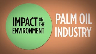 Palm Oil  Environment amp Deforestation [upl. by Boniface589]