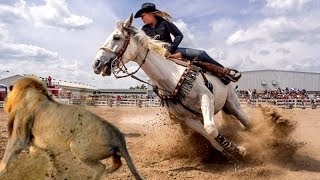 7 Raças De Cavalos Mais Selvagens Do Mundo [upl. by Feldt]