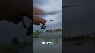 🤩 Baitcaster vs Spinning Reel  Whats Your Best Choice [upl. by Cence]