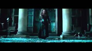 Bellatrix Confronts Dobby  Deathly Hallows Part 1 TV Spot [upl. by Nivalc]