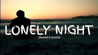 Lonely night Lyrics  New song 2024 New English song  Best song english [upl. by Ecnahs992]