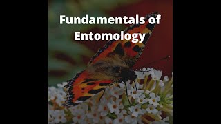 History of Entomology in India Position of insects relationship with members of Arthropoda [upl. by Name]