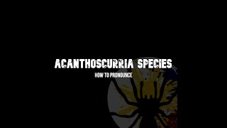 How to Pronounce Acanthoscurria Rhodothele [upl. by Denbrook]