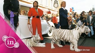 Siegfried amp Roy Darum griff der Tiger damals wirklich an [upl. by Ymac]