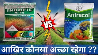 Propineb vs MancozebAntracol vs M45Who is BetterM45 Fungicide [upl. by Sivi]