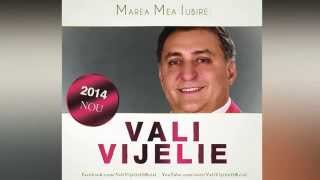 VALI VIJELIE  E bine bine hit 2014 [upl. by Curr]