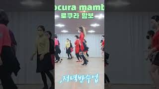 Locula mambo 로쿠라 맘보 수업중 [upl. by Refinnaj]