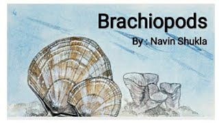 BrachiopodsByNavin ShuklaLasthope [upl. by Saihttam]