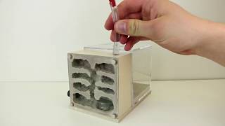 The THA Fortress  Formicarium Review amp Tutorial [upl. by Aelyk]