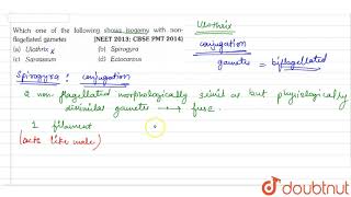 Which one of the following shows isogamy with nonflagellated gametes [upl. by Sheley]