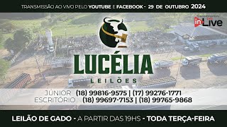 LUCÉLIA LEILÕES  LEILÃO DE GADO  AO VIVO  29102024  100  Pesados no Recinto [upl. by Araiek597]