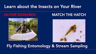 Oliver Edwards  An Intro to Entomology amp Stream Sampling [upl. by Guy]