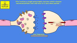 SYNAPSES [upl. by Sergent406]