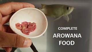 Best Foods for Arowana Fish  I feed my arowana [upl. by Sauer]