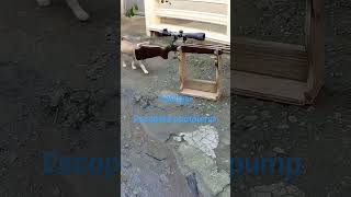 escopeta pootpump using pcp hand pump airgun huntingadventure [upl. by Ardnoik]