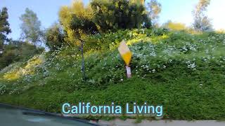 Life in the Foothills  Altadena California [upl. by Frangos]