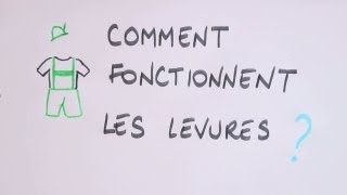 Comment fonctionnent les levures [upl. by Nannaihr509]