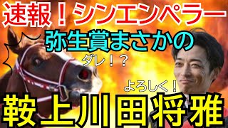 弥生賞でシンエンペラーの鞍上が川田将雅騎手に決定！ジャンタルマンタルはどうなるの？ムルザバエフ騎手は？【競馬】 [upl. by Ahsito]