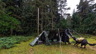 Rain Camping in 2 Sections and Awning Tent  Mars Doesnt Want Me to Light the Stove [upl. by Enitsirc30]