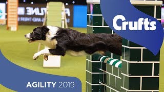 Agility  Championship Final  ​Crufts 2019 [upl. by Hepza]