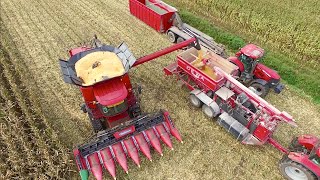 Making Corn Cob Mix  CASE IH 8240 Axial Flow  DEWA maalmolen  Bart Sprangers  Mais dorsen [upl. by Vladamir]