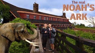 The Ark Lodge 🐘  Best Hotel in Kenya  Aberdare National Park [upl. by Onfroi]