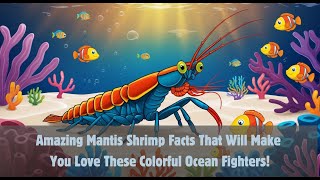 Why Can Mantis Shrimp Punch So Hard Discover 10 Fun Facts [upl. by Seow]