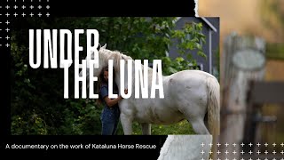 Under the Luna  Kataluna Horse Rescue Documentary [upl. by Garate783]