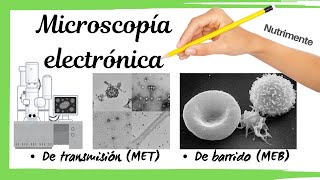 Microscopía ELECTRÓNICA  de Transmisión y De Barrido [upl. by Amsirak]