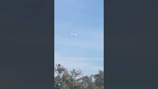 Bombardier Challenger 300 Landing at Georgetown Municipal Airport bombardier privatejet landing [upl. by Annoyi]