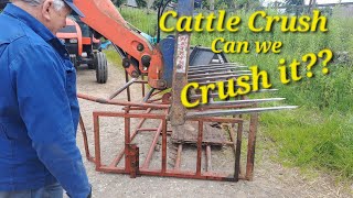 Crushing the cattle Crush can we straighten it Bakewell market fab prices  bullocks set free [upl. by Milda]