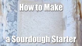 How To Make A Sourdough Starter  Video Recipe [upl. by Lleynod]