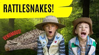 Rattlesnake Facts  WE SAW A RATTLESNAKE IN THE WILD  Kids Video [upl. by Leonidas]