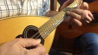 Tarantella Napoletana  Italian Mandolin music by Antonio Calsolaro [upl. by Ericksen]