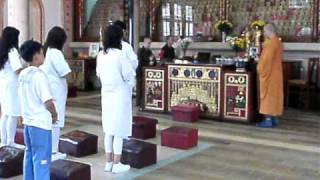 Chinese Buddhist Funeral PrayerThou Buddha Temple [upl. by Alamaj]