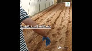 Basamid Soil treatment [upl. by Jelks910]