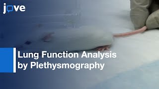 Respiratory Function Analysis by Plethysmography [upl. by Pretrice115]