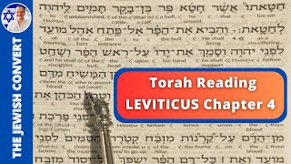 Leviticus Chapter 4  Torah Reading in Hebrew with English Translation  TORAH STUDY [upl. by Ennaej]