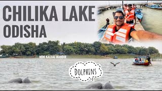 Chilika lake Odisha dolphins🐬 boating 🛶  Konark temple 🛕 puri odisha boating chilikalake [upl. by Corydon]