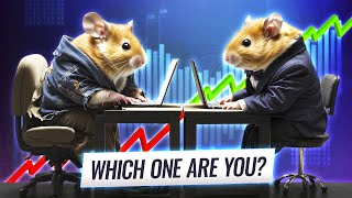 Hamster Feed Some become billionaires while others lose everything [upl. by Isleen]