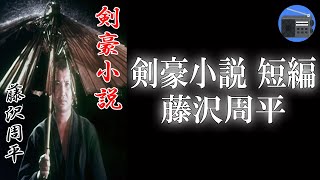 【朗読】「剣豪小説 短編」次々と何者かによって“闇討ち”されてしまう五人の剣士たち！ “秘剣”を遣う敵の正体とは！？【時代小説・歴史小説／藤沢周平】 [upl. by Aimas]