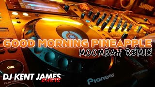 GOOD MORNING PINEAPPLE MOOMBAH  DJ KENT JAMES REMIX [upl. by Hillier]