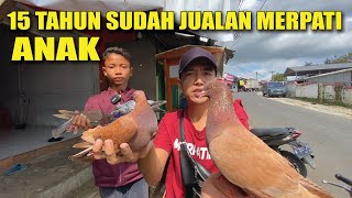 NGABUBURIT SAMBIL JAJAN MERPATI [upl. by Shaum]