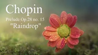 Chopin  Raindrop Prelude Op28 no 15 in D flat Major [upl. by Yornek]